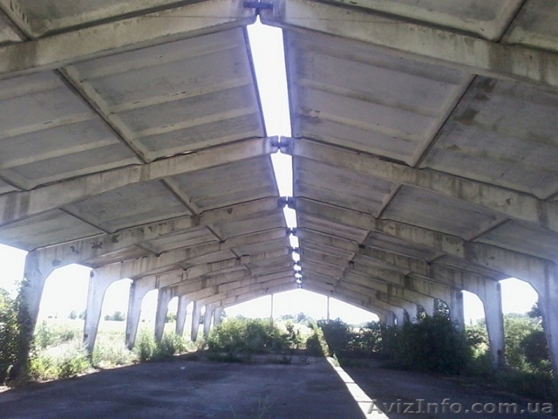 Продам ангар(клюшечник) - <ro>Изображение</ro><ru>Изображение</ru> #2, <ru>Объявление</ru> #723319