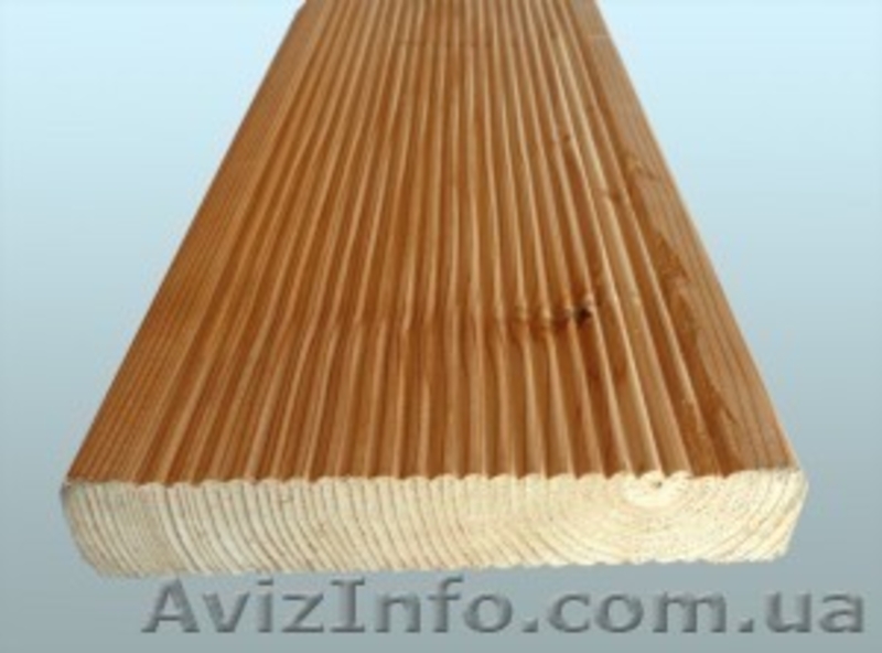 Лиственница сибирская Полтава Украина - <ro>Изображение</ro><ru>Изображение</ru> #3, <ru>Объявление</ru> #153178