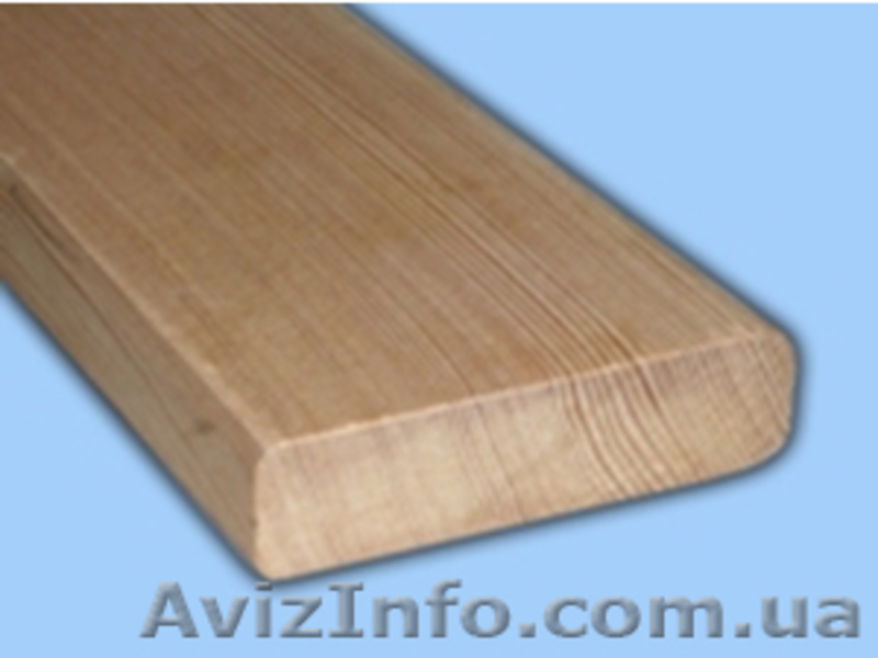 Лиственница сибирская Полтава Украина - <ro>Изображение</ro><ru>Изображение</ru> #4, <ru>Объявление</ru> #153178