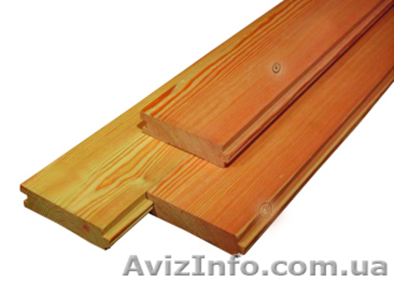 Лиственница сибирская Полтава Украина - <ro>Изображение</ro><ru>Изображение</ru> #2, <ru>Объявление</ru> #153178