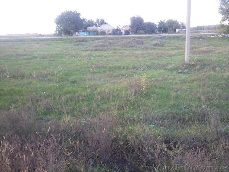 Продам 25 соток над трасой Киев-Харьков с. Цыганское - <ro>Изображение</ro><ru>Изображение</ru> #1, <ru>Объявление</ru> #764251