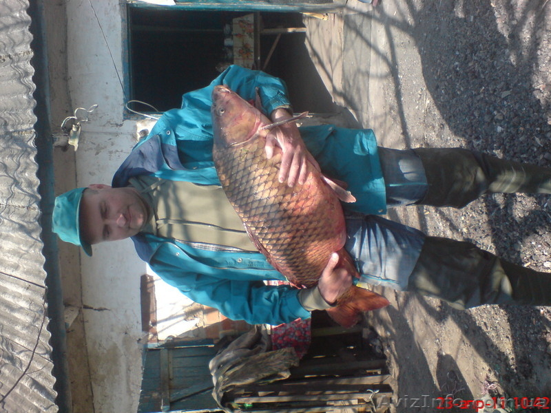 участок на берегу реки - <ro>Изображение</ro><ru>Изображение</ru> #2, <ru>Объявление</ru> #837370