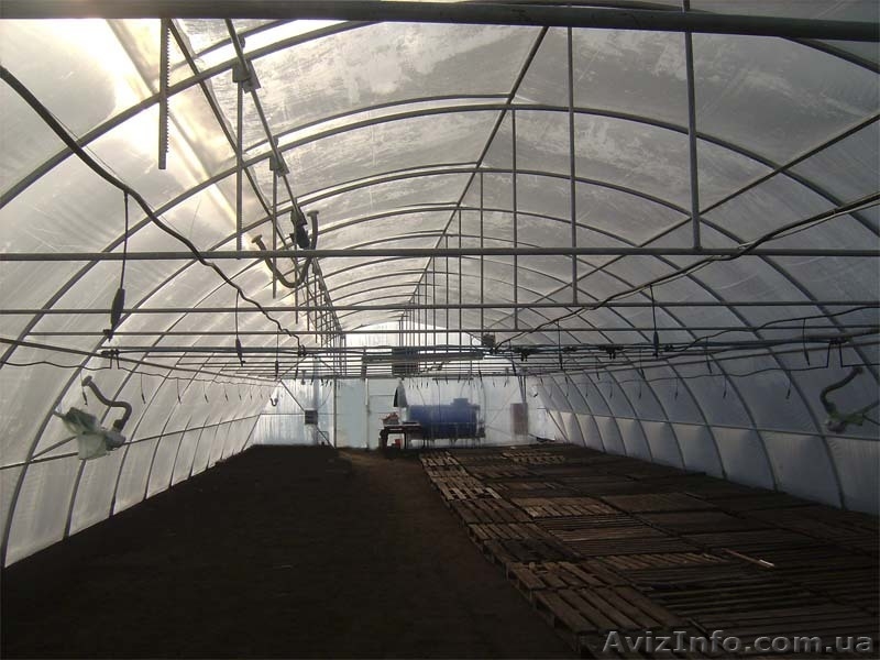 Промышленная Теплица для фермера - <ro>Изображение</ro><ru>Изображение</ru> #3, <ru>Объявление</ru> #869943