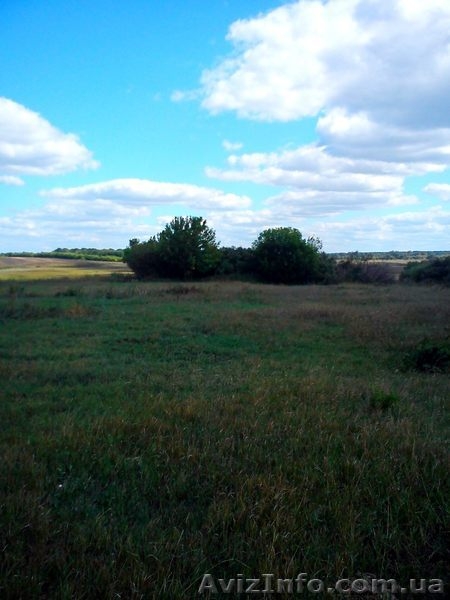 Продам дом в Полтавской обл. - <ro>Изображение</ro><ru>Изображение</ru> #4, <ru>Объявление</ru> #891757