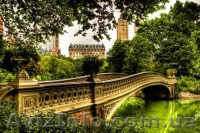 English tutor -учим английский - <ro>Изображение</ro><ru>Изображение</ru> #1, <ru>Объявление</ru> #891915