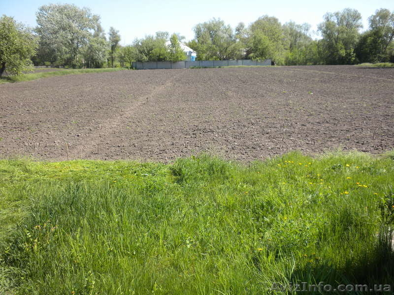 Дом в Полтавской обл. Хорольский р-н. с. Новоаврамовка - <ro>Изображение</ro><ru>Изображение</ru> #7, <ru>Объявление</ru> #897654