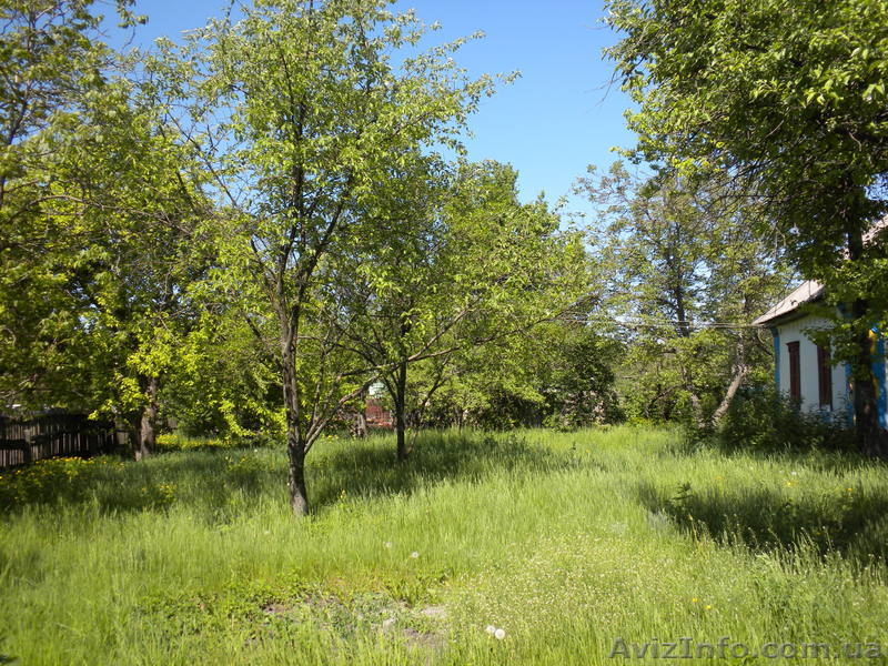 Дом в Полтавской обл. Хорольский р-н. с. Новоаврамовка - <ro>Изображение</ro><ru>Изображение</ru> #8, <ru>Объявление</ru> #897654