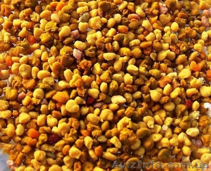 Продам мед и другие продукты пчеловодства со своей пасеки, Полтавская обл. - <ro>Изображение</ro><ru>Изображение</ru> #4, <ru>Объявление</ru> #914412