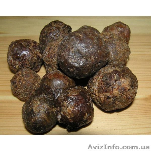 Продам мед и другие продукты пчеловодства со своей пасеки, Полтавская обл. - <ro>Изображение</ro><ru>Изображение</ru> #7, <ru>Объявление</ru> #914412