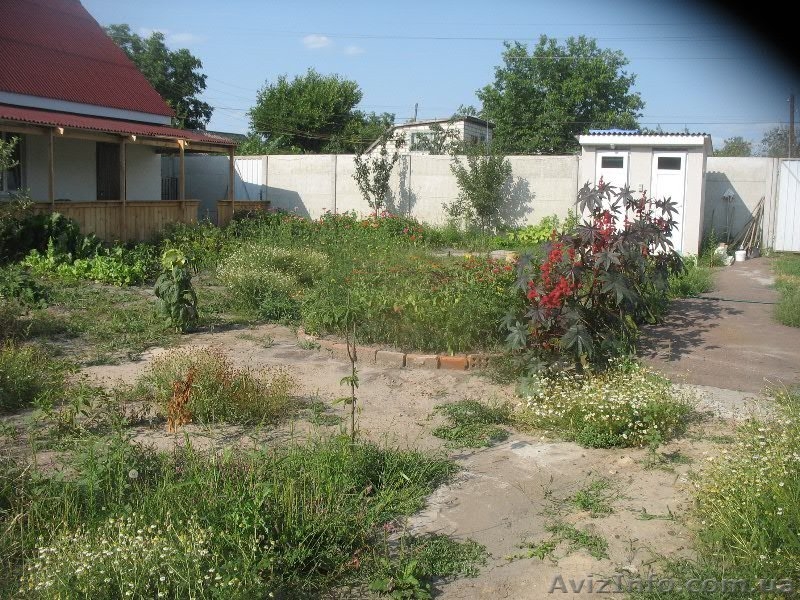 Продается дом в курортной зоне - <ro>Изображение</ro><ru>Изображение</ru> #6, <ru>Объявление</ru> #938686