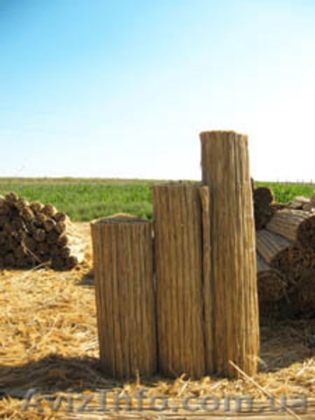 камышовые маты, плиты, евроснопа.Кровельные работы, рогожка, забор из камыша - <ro>Изображение</ro><ru>Изображение</ru> #2, <ru>Объявление</ru> #961268