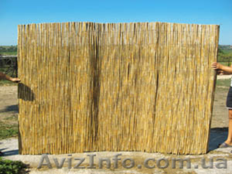 камышовые маты, плиты, евроснопа.Кровельные работы, рогожка, забор из камыша - <ro>Изображение</ro><ru>Изображение</ru> #4, <ru>Объявление</ru> #961268