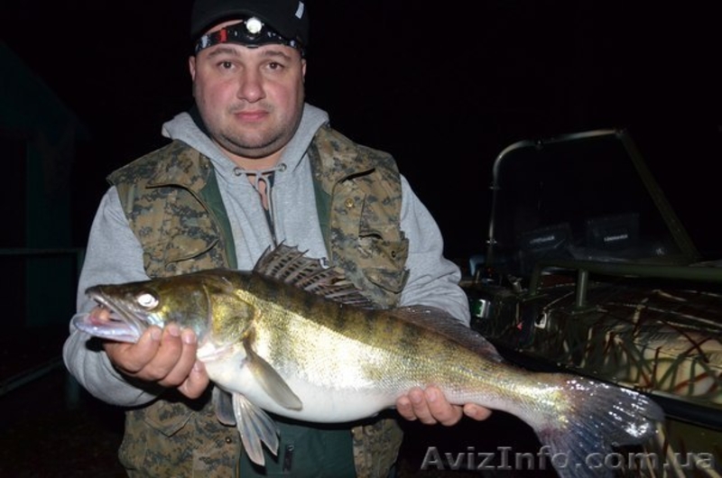 Турбаза Тополь возле с Келеберда - <ro>Изображение</ro><ru>Изображение</ru> #8, <ru>Объявление</ru> #577278