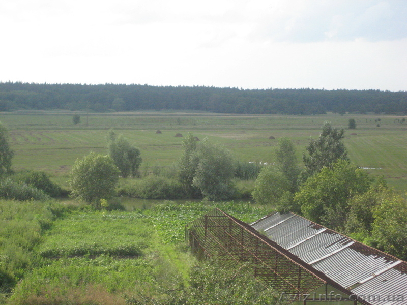 Продажа дома Полтавский район - <ro>Изображение</ro><ru>Изображение</ru> #5, <ru>Объявление</ru> #1024558