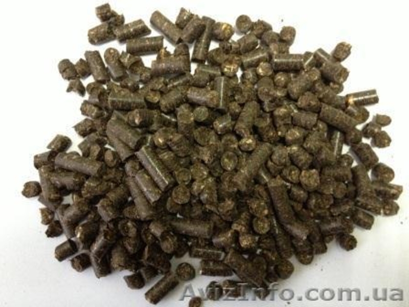 Продам линию гранулирования на базе пресс-гранулятора Б6-ДГВ.  - <ro>Изображение</ro><ru>Изображение</ru> #3, <ru>Объявление</ru> #1035312