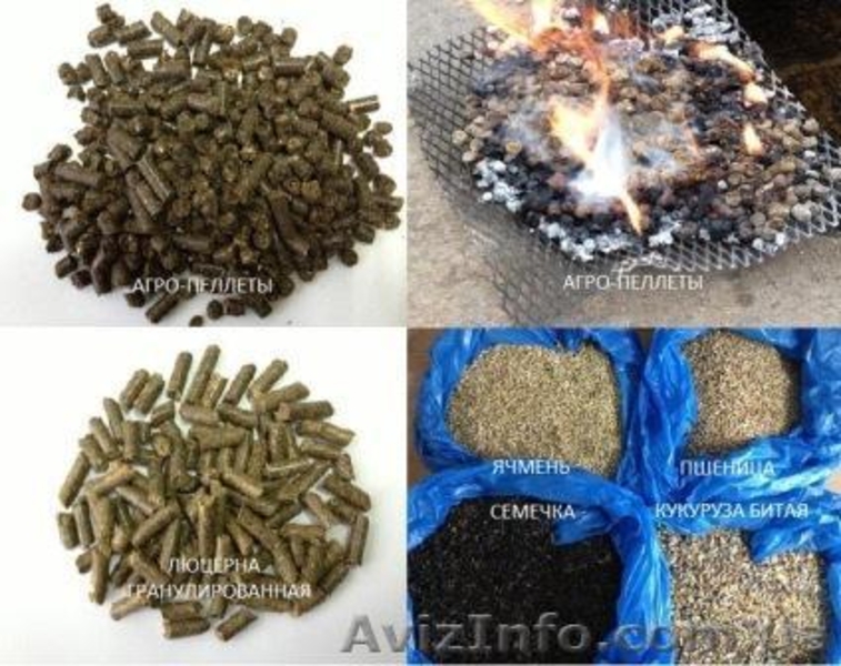 Продается оборудование для комплексной переработки агропромышленных отходов - <ro>Изображение</ro><ru>Изображение</ru> #2, <ru>Объявление</ru> #1050734