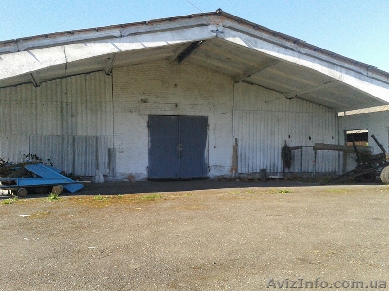 Продажа ангарного помещения в Пирятине - <ro>Изображение</ro><ru>Изображение</ru> #2, <ru>Объявление</ru> #1086627