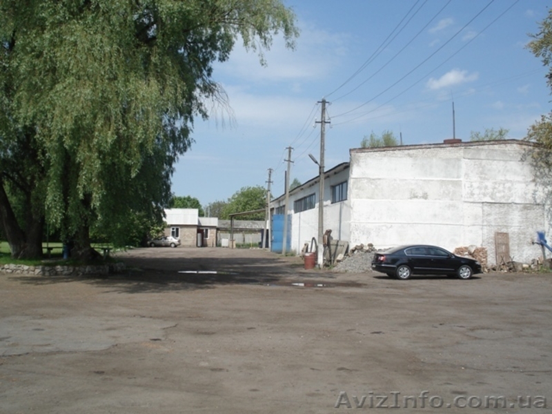 Бизнес по производству муки, макарон - <ro>Изображение</ro><ru>Изображение</ru> #5, <ru>Объявление</ru> #1104930