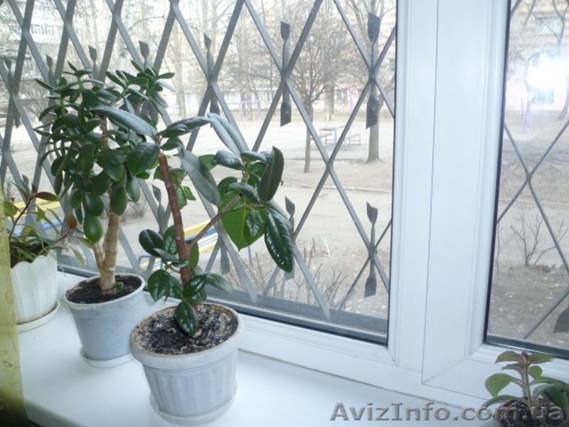 Спешите успеть! - <ro>Изображение</ro><ru>Изображение</ru> #5, <ru>Объявление</ru> #1225530