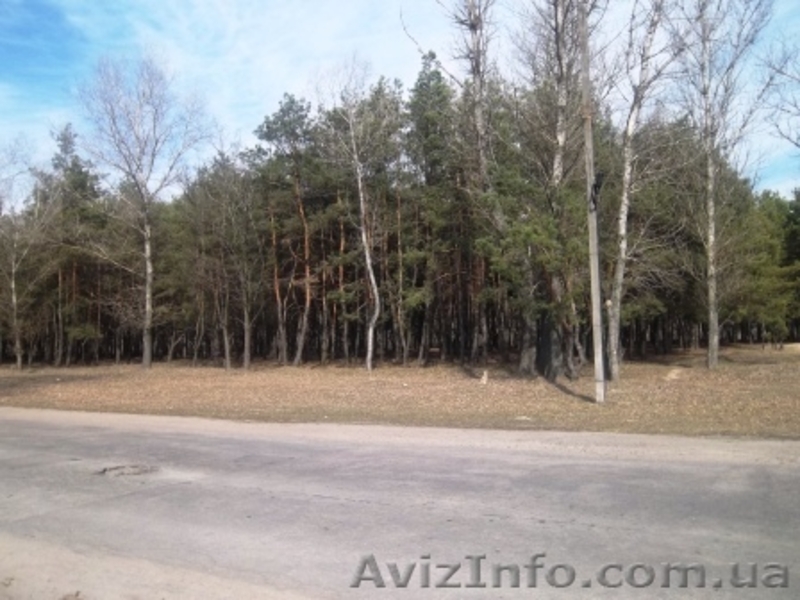 Забудьте о съеме жилья! Гостинка, Кременчуг - <ro>Изображение</ro><ru>Изображение</ru> #3, <ru>Объявление</ru> #1241878