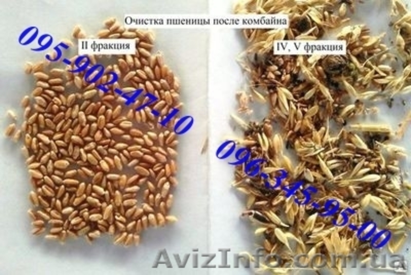 Продам ІСМ-5 сепаратор зерна - <ro>Изображение</ro><ru>Изображение</ru> #6, <ru>Объявление</ru> #1230995