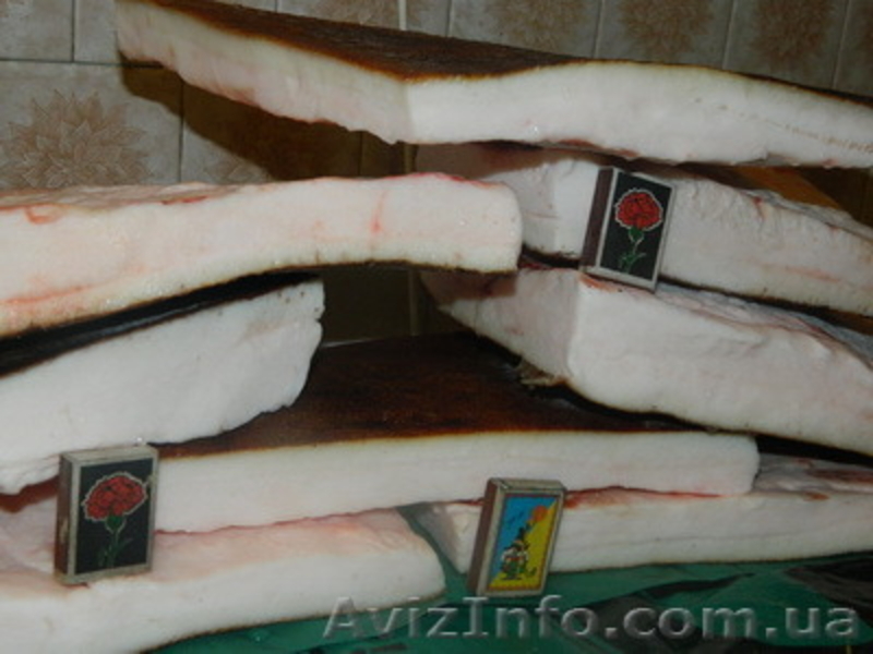  Сало хребтовое - <ro>Изображение</ro><ru>Изображение</ru> #2, <ru>Объявление</ru> #1268677