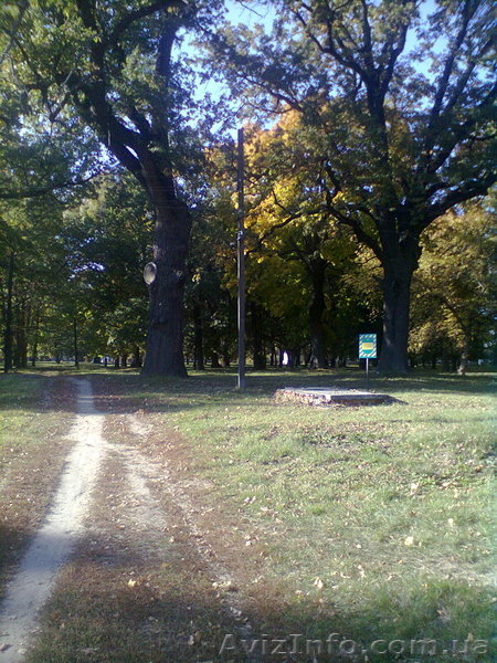 Cдам жилье на лето, экотуризм, речка Сула в 10 минутах, г. Лубны. - <ro>Изображение</ro><ru>Изображение</ru> #10, <ru>Объявление</ru> #1264498