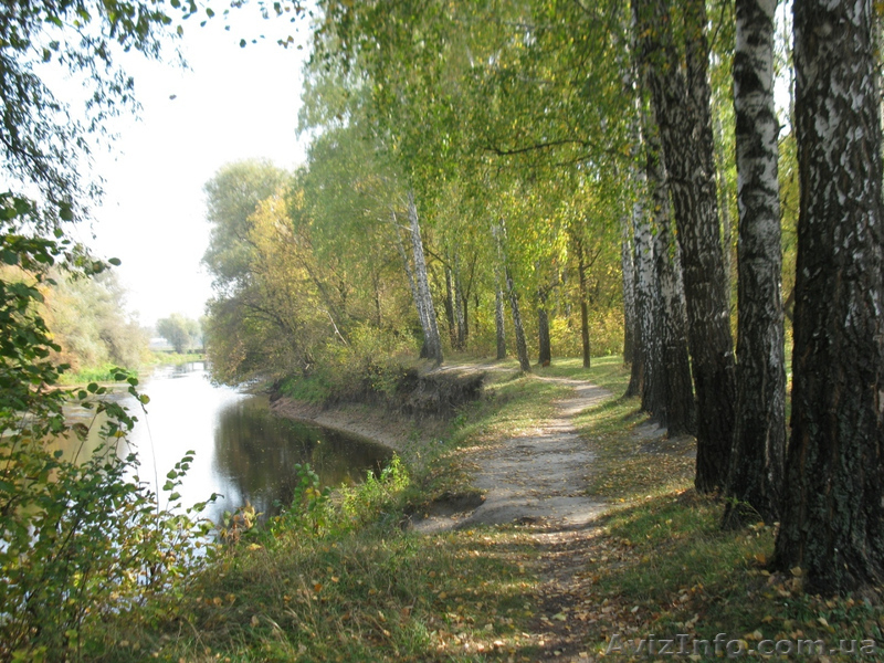 Cдам жилье на лето, экотуризм, речка Сула в 10 минутах, г. Лубны. - <ro>Изображение</ro><ru>Изображение</ru> #4, <ru>Объявление</ru> #1264498