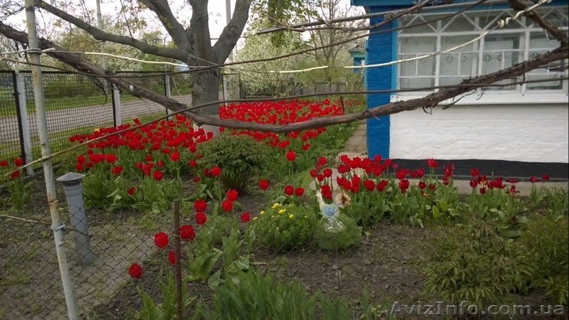 дом+1га по трассе киев-харьков возле решетиловка полтава обл - <ro>Изображение</ro><ru>Изображение</ru> #5, <ru>Объявление</ru> #1300481