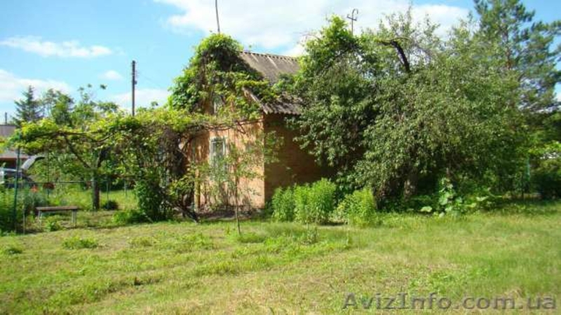 Продам дачу на Воронино (г.Полтава) - <ro>Изображение</ro><ru>Изображение</ru> #3, <ru>Объявление</ru> #1457408