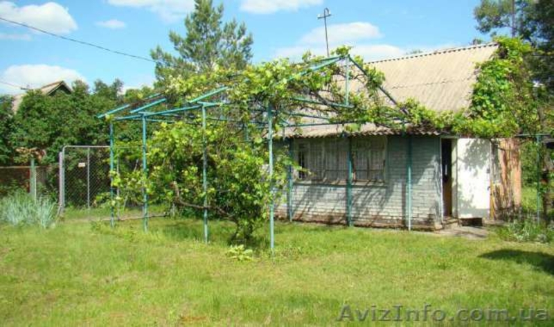 Продам дачу на Воронино (г.Полтава) - <ro>Изображение</ro><ru>Изображение</ru> #4, <ru>Объявление</ru> #1457408
