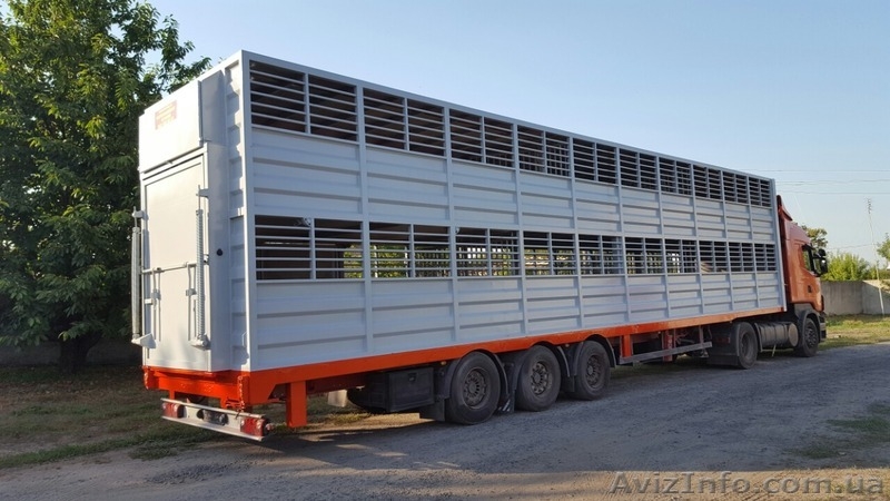 Полуприцеп, для перевозки животных .Кременчуг - <ro>Изображение</ro><ru>Изображение</ru> #3, <ru>Объявление</ru> #1469496