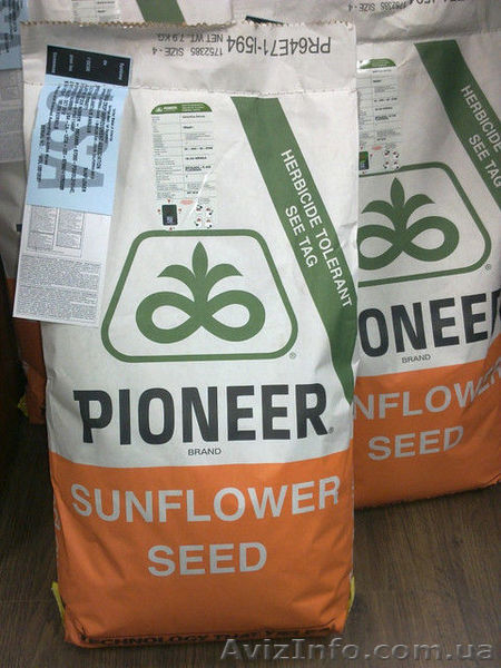 Продаём семена семечки кукурузы для посева - <ro>Изображение</ro><ru>Изображение</ru> #3, <ru>Объявление</ru> #1534560