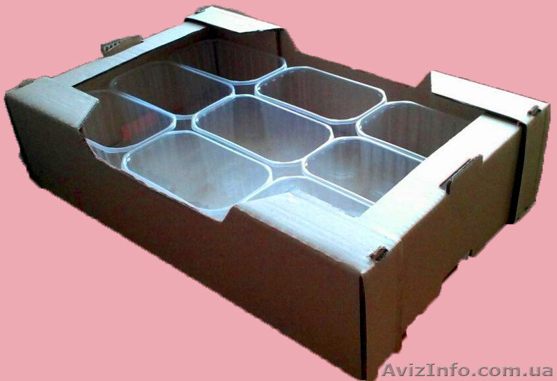 лоток под клубнику,малину,черешню,персик,сливу,виноград - <ro>Изображение</ro><ru>Изображение</ru> #2, <ru>Объявление</ru> #1538550