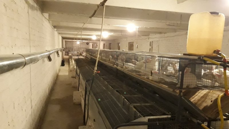 Отопление кролефермы. - <ro>Изображение</ro><ru>Изображение</ru> #2, <ru>Объявление</ru> #1673137