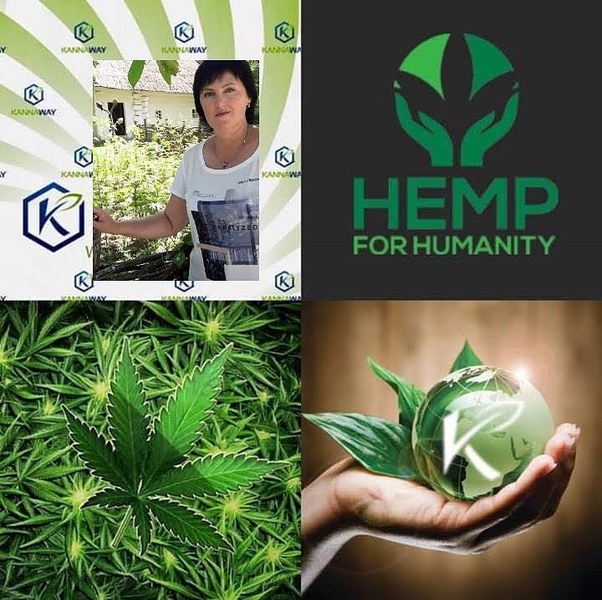 Лучшая альтернатива лекарств-конопляное масло - <ro>Изображение</ro><ru>Изображение</ru> #5, <ru>Объявление</ru> #1675759