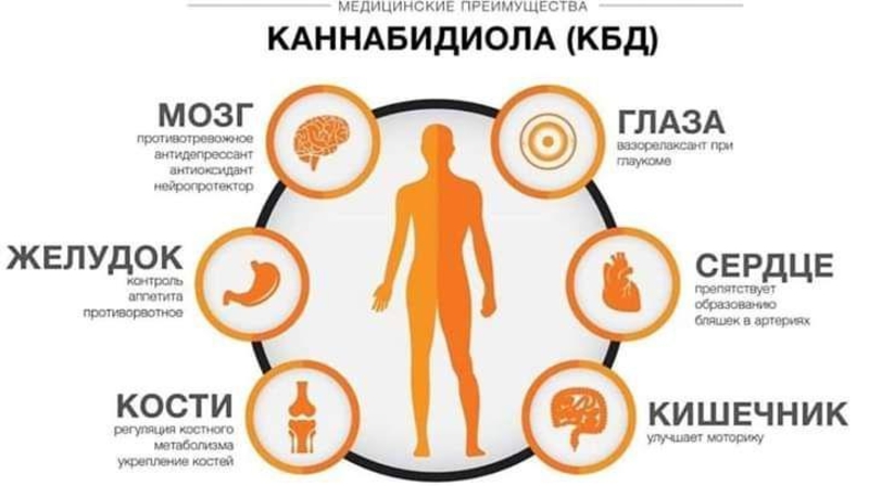 Начни историю с Kannaway - <ro>Изображение</ro><ru>Изображение</ru> #5, <ru>Объявление</ru> #1675751