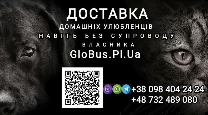 Україна - Польща - Україна - <ro>Изображение</ro><ru>Изображение</ru> #3, <ru>Объявление</ru> #1734541