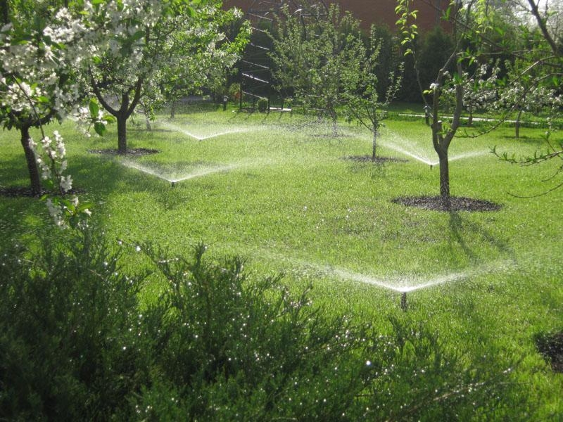 Автоматичні системи поливу З РОЗУМОМ - <ro>Изображение</ro><ru>Изображение</ru> #2, <ru>Объявление</ru> #1747407